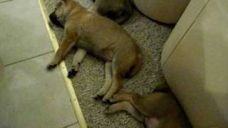 SAM_0109.AVI