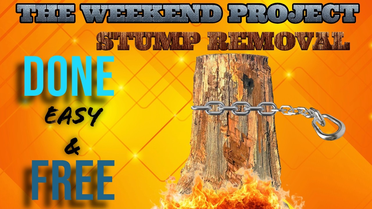 How to get rid of a Stump Easy & Free - YouTube