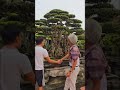 Da trắng mẹ mắng cũng mê | Gã Đầu Bạc - Vua Tùng