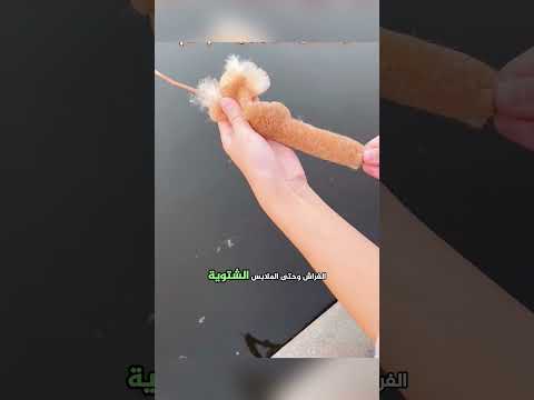 زغب طبيعي مذهل