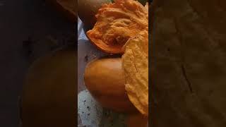 Inilah Kisah Buah Alkesah...