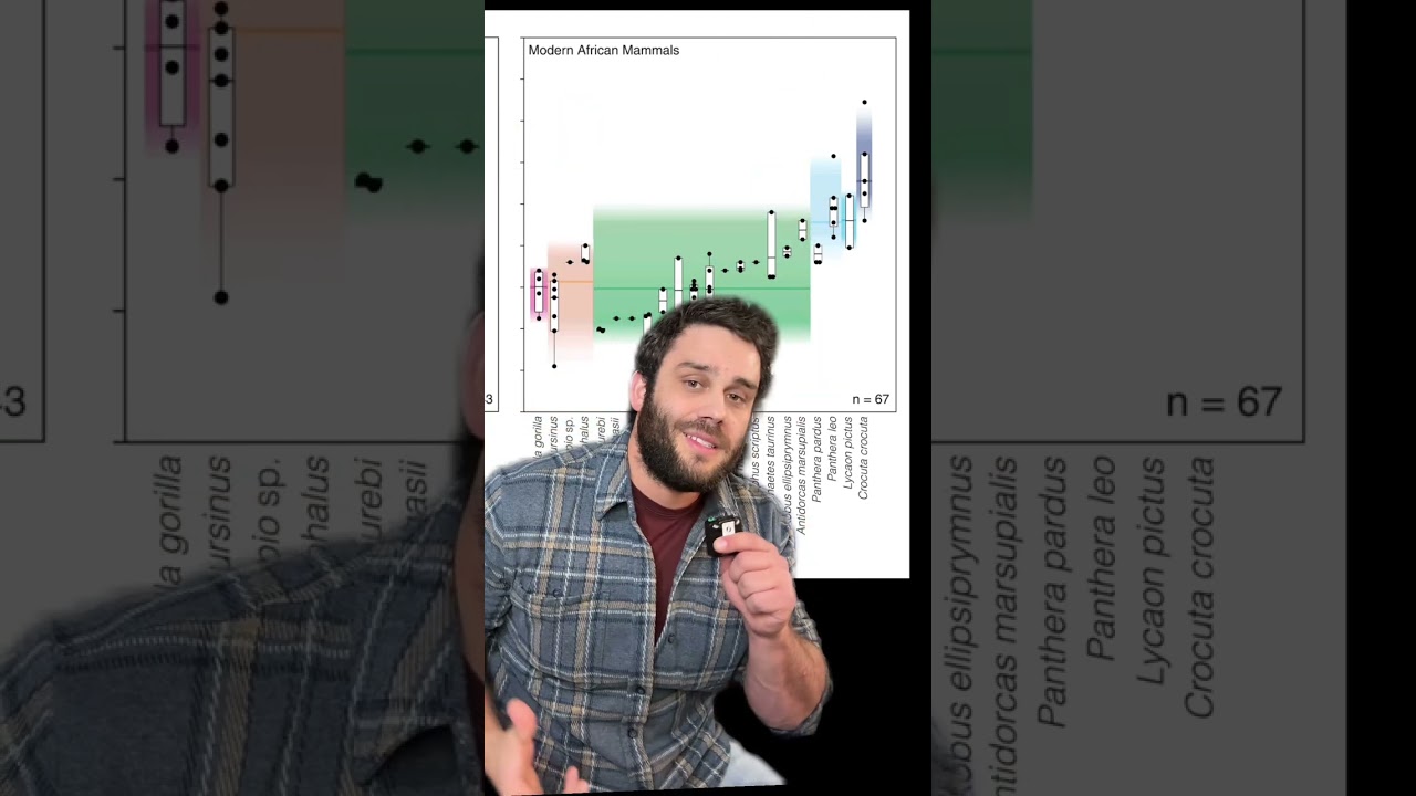Was Australopithecus a carnivore?