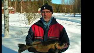 Kalastajan koti - рыбалка и отдых в Финляндии(, 2014-07-02T11:42:35.000Z)