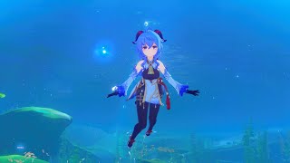 Genshin Impact Torrential Turbulent Charge Loadinghd