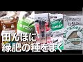 田んぼに緑肥の種をまく