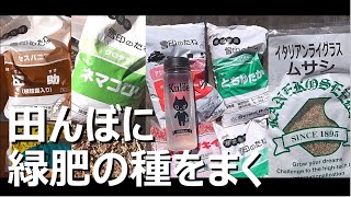 田んぼに緑肥の種をまく