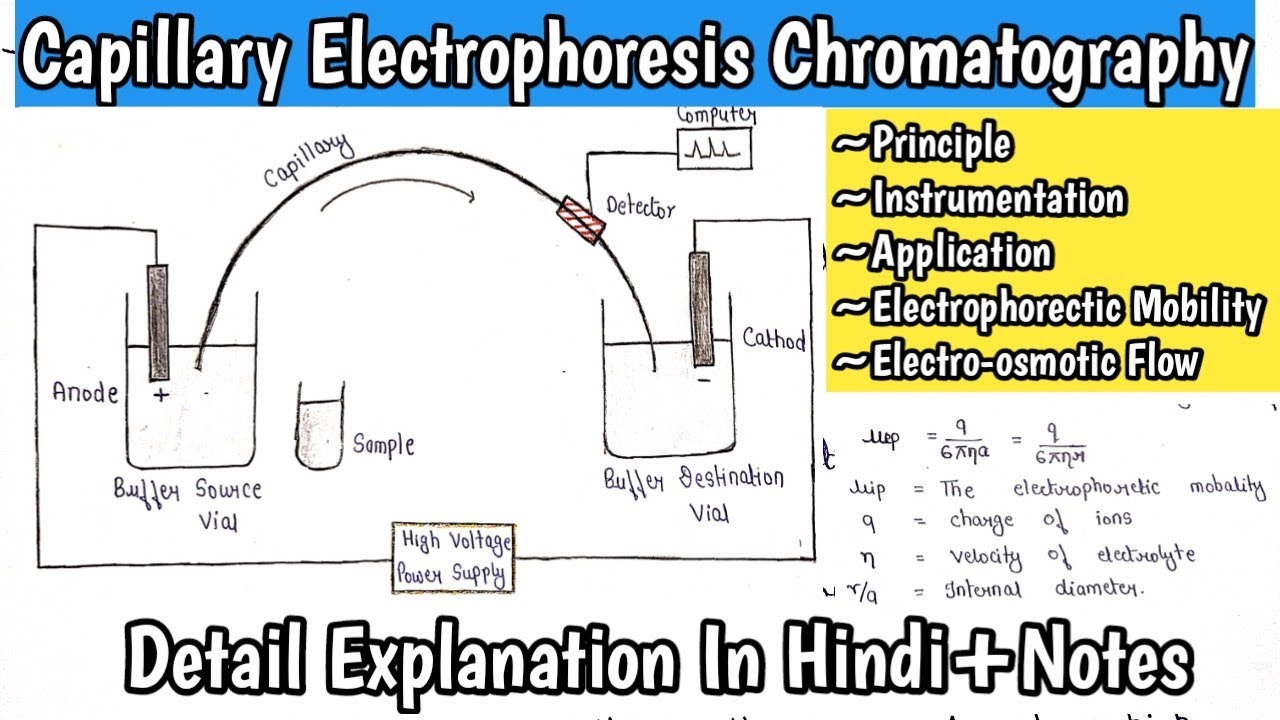 Capillary Electrophoresis Chromatography Electrophoretic Mobility