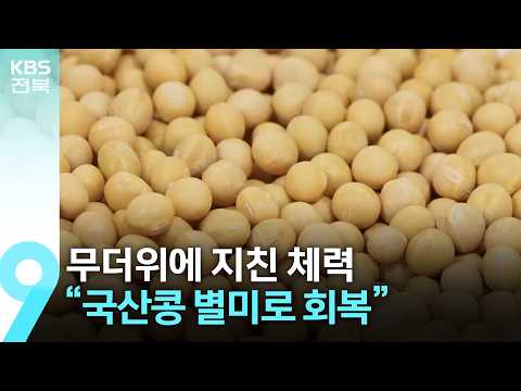무더위에 지친 <strong>체력</strong>…“국산콩 별미로 회복” / KBS  2026.07.24.