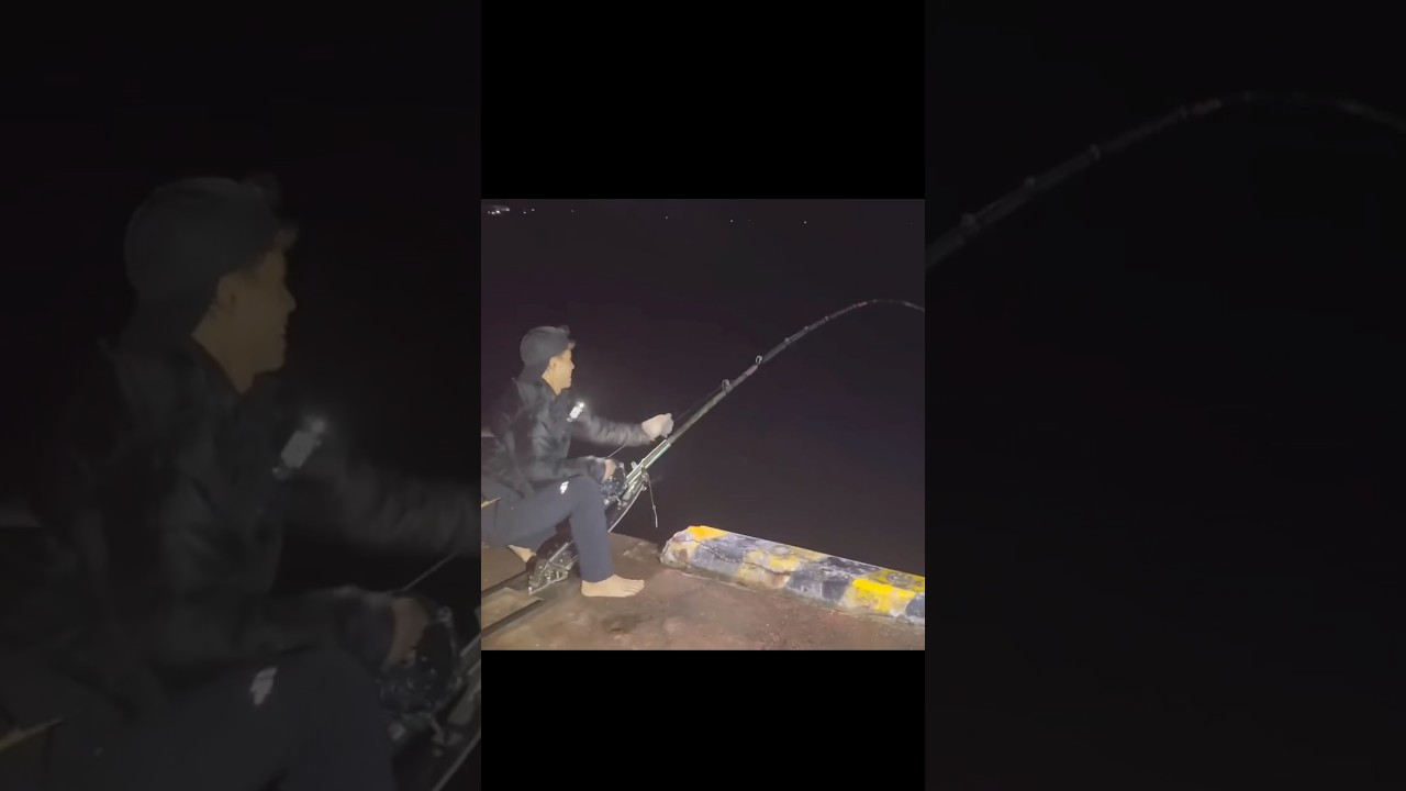 嵐の港で大物狙うと、#fishing fishing #釣り #shorts