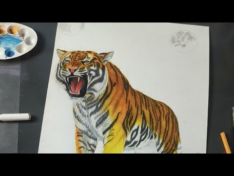 🐅 Drawing a Tiger for a Client | Commission Work LIVE 🎨🔥 Ankit_Arts is live