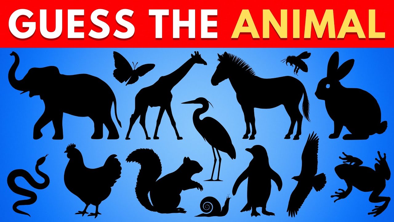Guess The Animal by Shadow | Animal Quiz - Shadow Game - YouTube