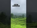 #500subscribers #wisata #jalanjalan