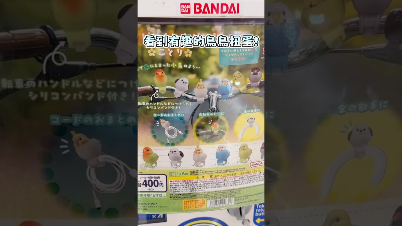 抽一隻可以收數據線的鳥鳥扭蛋 【鹿與魔女的開箱系列】 #扭蛋 | MYViki