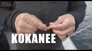 The SECRET to catching more KOKANEE with VIP Outdoors and Soule's Sport Fishing
