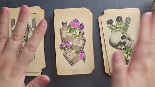 The Antique Anatomy Tarot - Full Flip Through and Mini Review