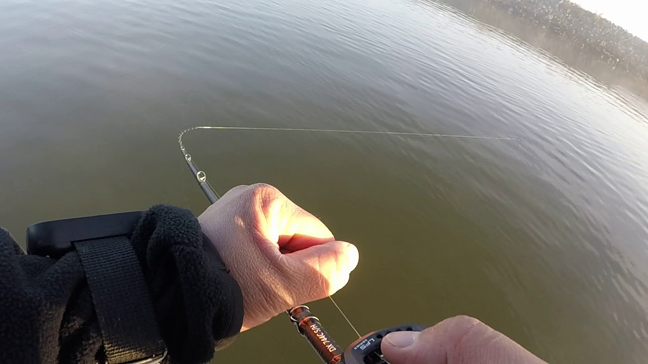 Striper fishing in the ca delta YouTube