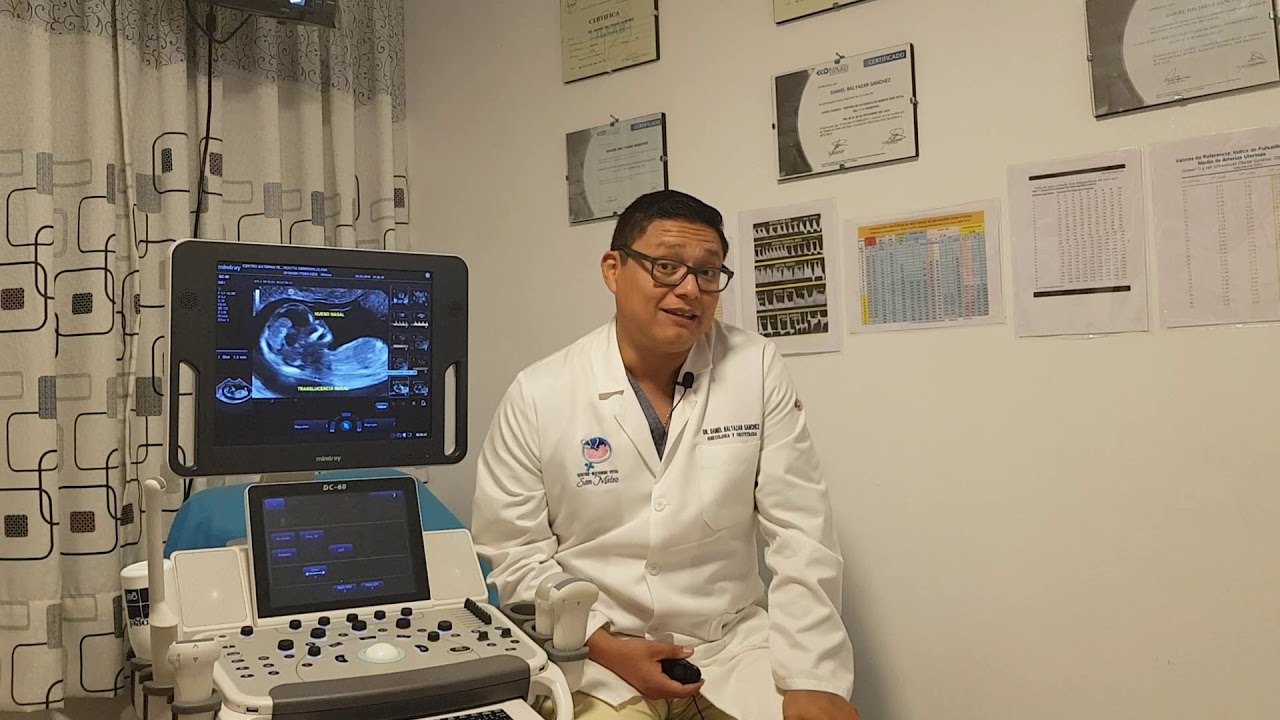 Ecografia genetica la mas importante