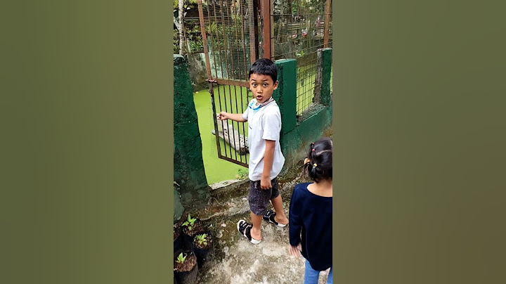 Risa lihat buaya
