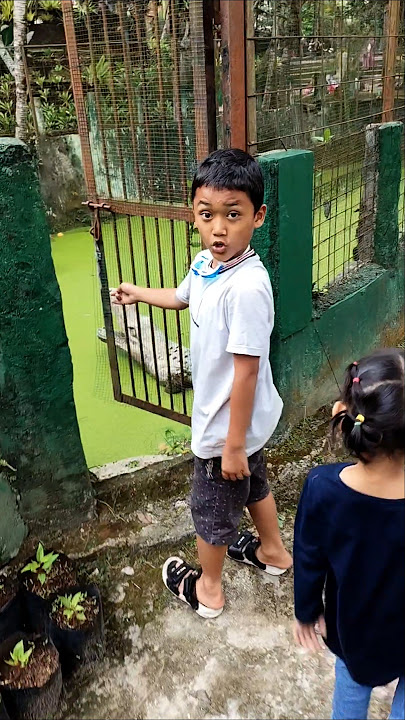Risa lihat buaya