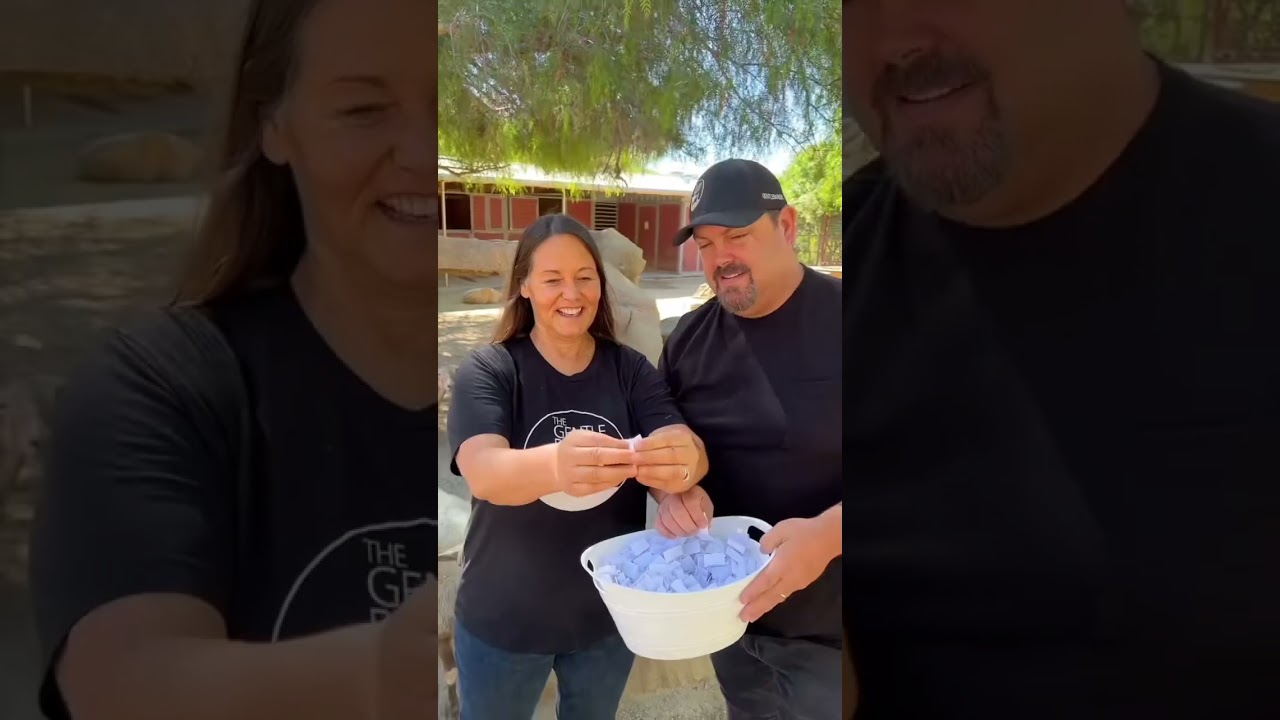 Giving this baby turkey a name 😭💚 