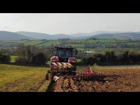 PLOUGHING AND DISCING FOR FODDER BEET 2026!! ~Case Maxxum 150!! 🇮🇪 