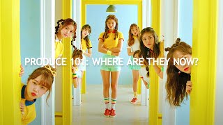 Produce 101: Where Are They Now?