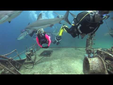Last "Ray of Hope" Shipwreck