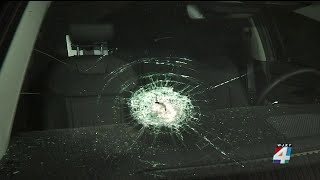 Family stunned after object came through windshield crossing Mathews Bridge