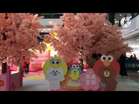Beautiful Display CNY 2025