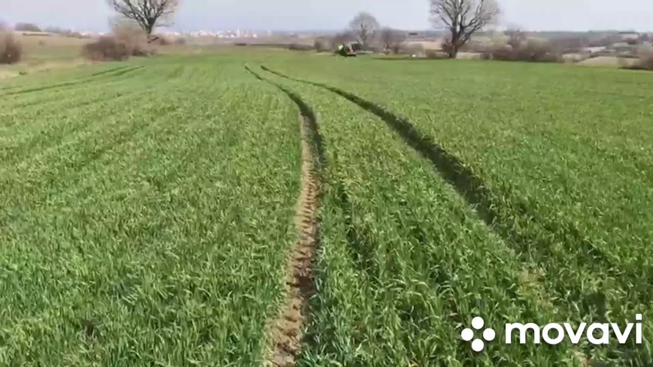 Buğday İlaç Atımı Ot Mücadelesi