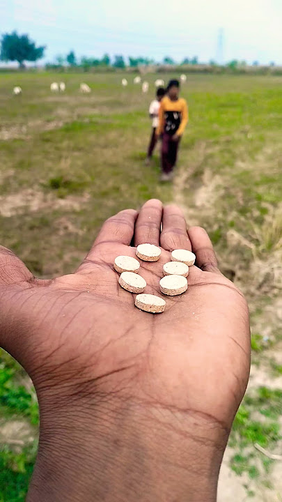 la hey la he #funny #comedy #cute #love #shorts