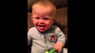 Baby zerberts