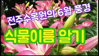 전주수목원, 식물이름, Name of a plant, 식물이름표, 식물 이름 알기, 꽃이름알기