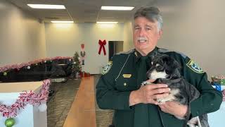 Sheriff Nienhuis with HCSO Animal Services Pop Up Shop 11-26-2025