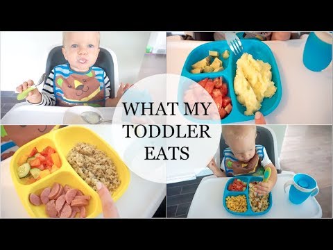 toddler-meal-ideas