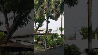 Private Yoga #bdg #jelajahkotabandung #yogabandung #infobdg #equalyogastudio #umisussyoga #bandung