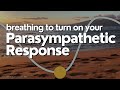 Parasympathetic Response | 4-8 Breathing to Calm the Nervous System