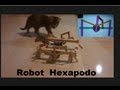 ✅ Robot Araña o Hexapodo  ❗como se hace❗