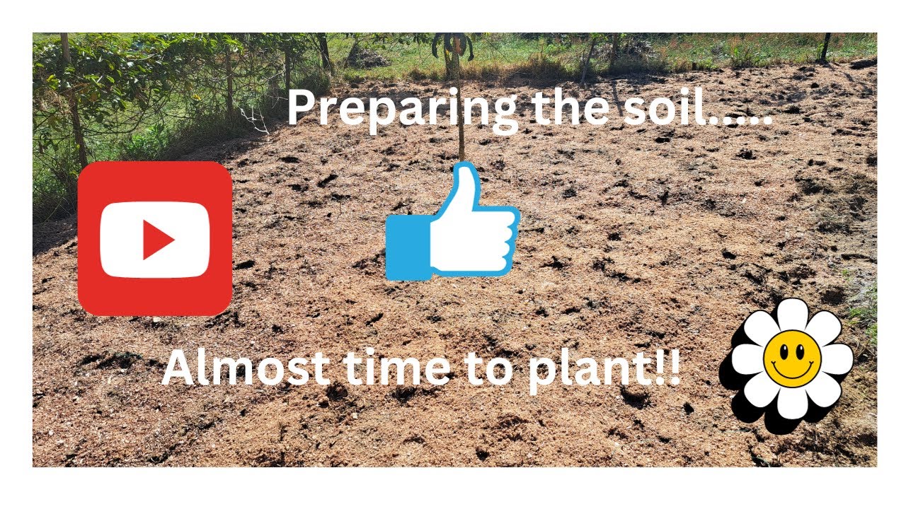 Preparing the soil- almost ready for planting vegetables! - YouTube
