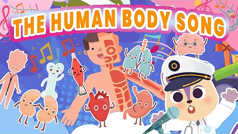🫀 Human Body Song for kids | Easy way to learn about the Organs | Brain, Heart, Lungs, Kidneys 🧠