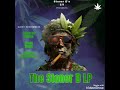 Stop Ignoring - Brady Butler #stonerd #funny #comedyshorts #comedy #music #rap #subscribe