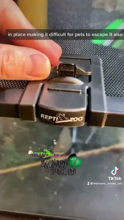 🐍 Repti Zoo Knock Down Glass Terrarium 🧪#reptizoo #snakes #spiders #reptiles #pets