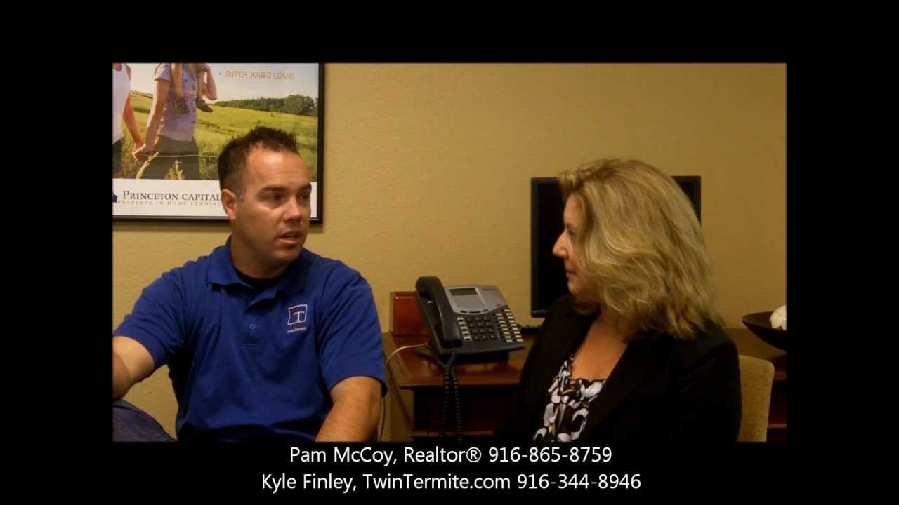 How Can you Prevent Termites? | Twin Termite