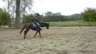 Sorlerine jumping in circle.