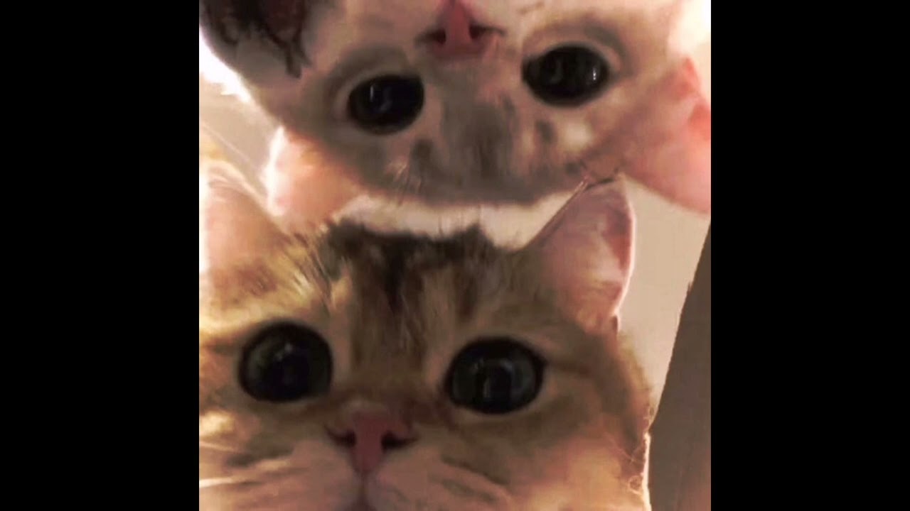 до рассвета (сати казанова) - speed up trap remix