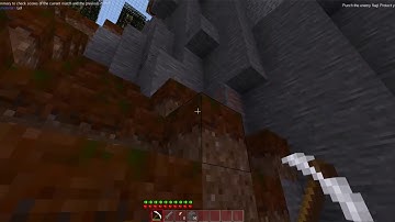 Minetest 5.0.1: Swamplands (Xenon); Capture the Flag (CTF) gameplay