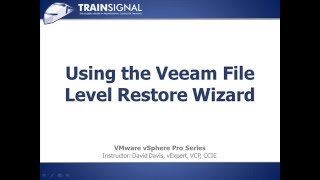 05 Using Veeam File Level Restore Wizard
