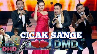 Trio Genit ft Ayu ting ting - Cicak Sange ciptaan Has Latuhawanci