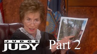 Did Man Mutilate His Neighbor's Bougainvillea? | Part 2
