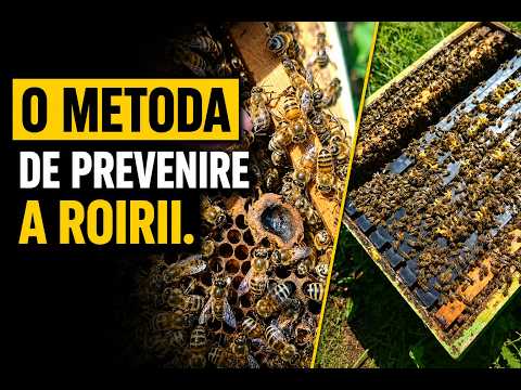 O metoda de prevenire a roirii.